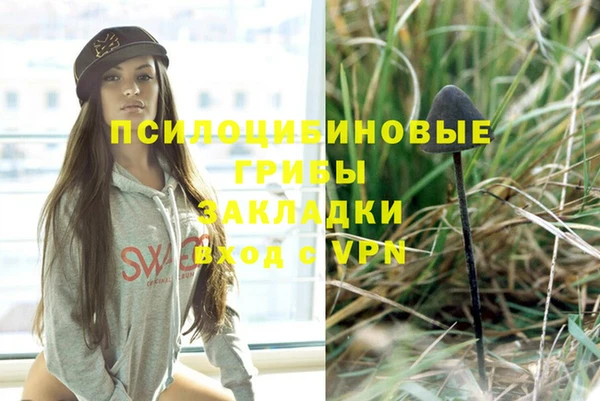 мет Осташков