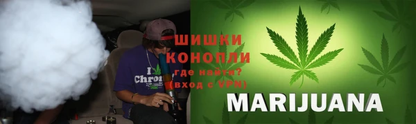 ALPHA PVP Остров