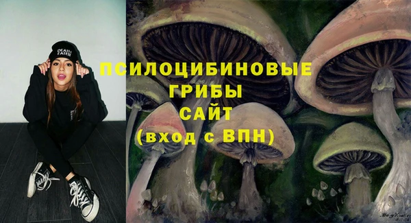 ALPHA PVP Остров