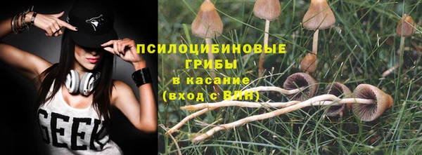 ALPHA PVP Остров