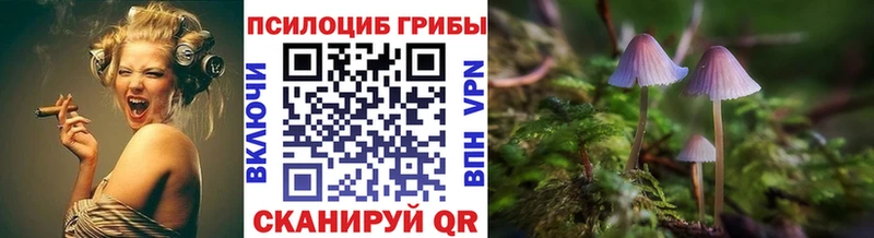 Галлюциногенные грибы мухоморы  ссылка на мегу ССЫЛКА  Корсаков  купить наркоту 