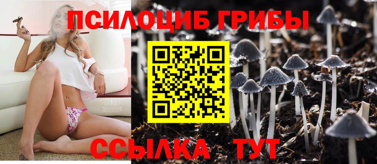 Галлюциногенные грибы MAGIC MUSHROOMS  Корсаков  Псилоцибиновые грибы GOLDEN TEACHER 