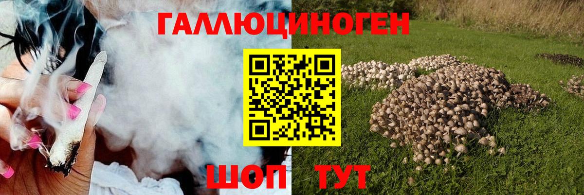 Псилоцибиновые грибы MAGIC MUSHROOMS Корсаков